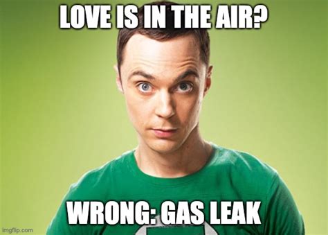 love is in the air wrong gas leak|Sheldon Cooper Blank Template